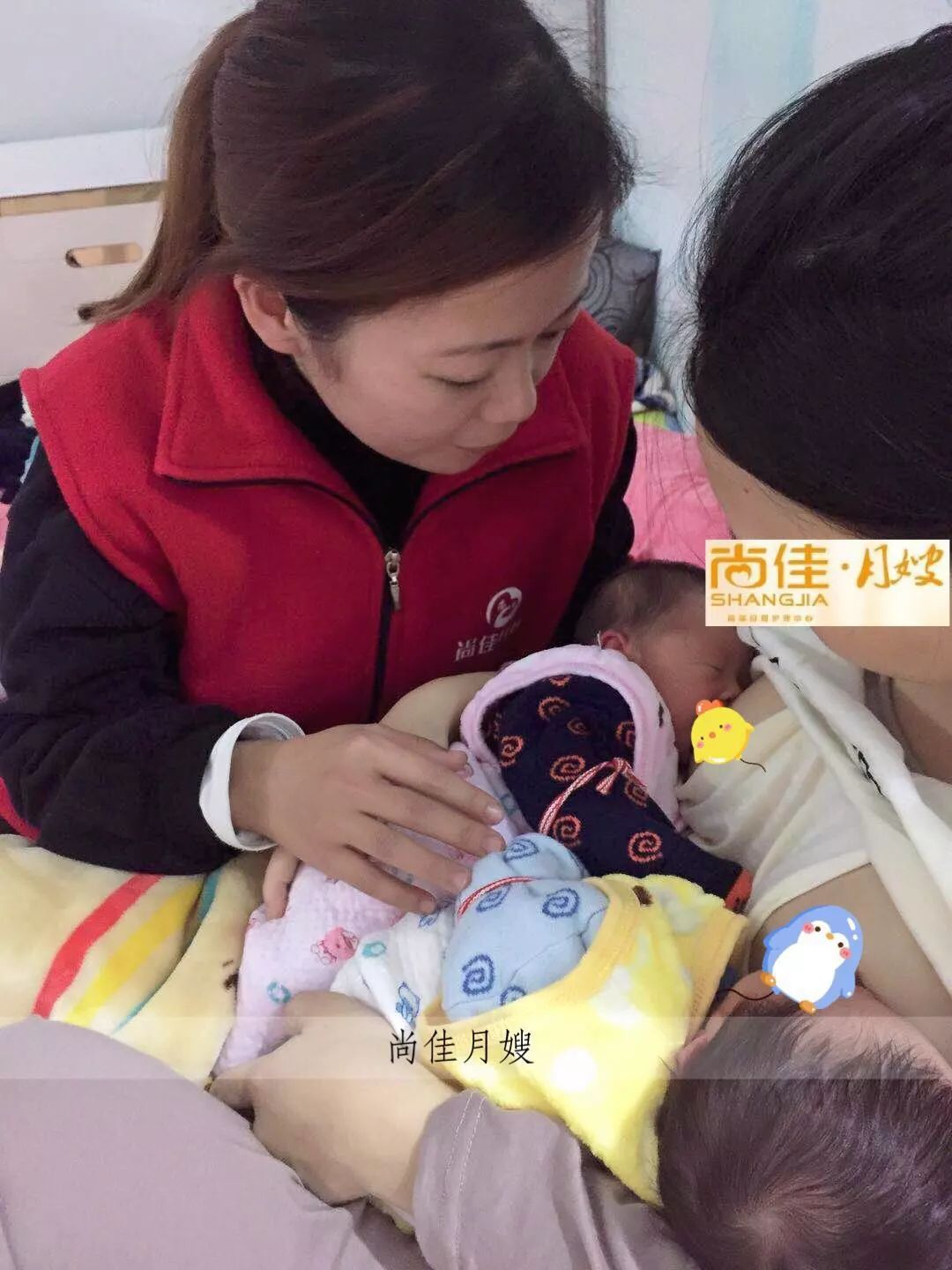 尚佳專業(yè)月嫂丨初生嬰兒需要吃多少？