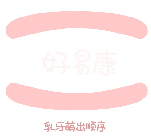 尚佳專業(yè)月嫂丨關(guān)于寶寶長牙問題，都在這里！